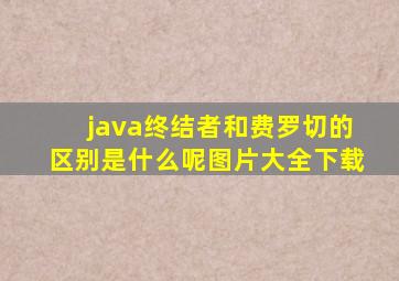 java终结者和费罗切的区别是什么呢图片大全下载