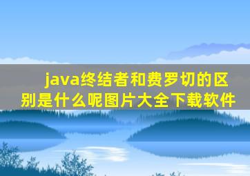 java终结者和费罗切的区别是什么呢图片大全下载软件