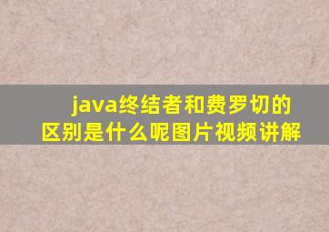 java终结者和费罗切的区别是什么呢图片视频讲解
