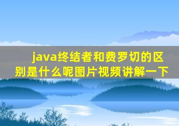 java终结者和费罗切的区别是什么呢图片视频讲解一下