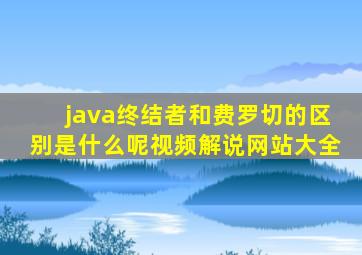 java终结者和费罗切的区别是什么呢视频解说网站大全