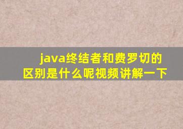 java终结者和费罗切的区别是什么呢视频讲解一下