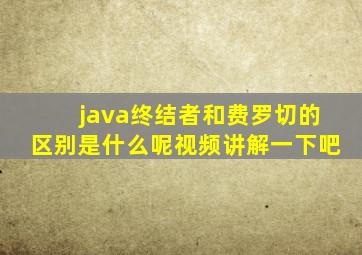 java终结者和费罗切的区别是什么呢视频讲解一下吧