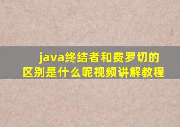 java终结者和费罗切的区别是什么呢视频讲解教程