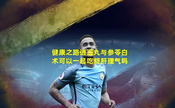 健康之路逍遥丸与参苓白术可以一起吃舒肝理气吗