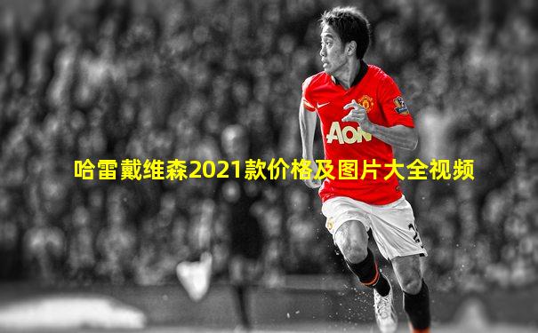 哈雷戴维森2021款价格及图片大全视频