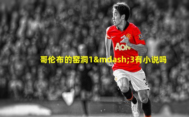 哥伦布的窑洞1—3有小说吗
