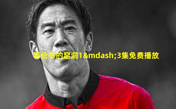 哥伦布的窑洞1—3集免费播放