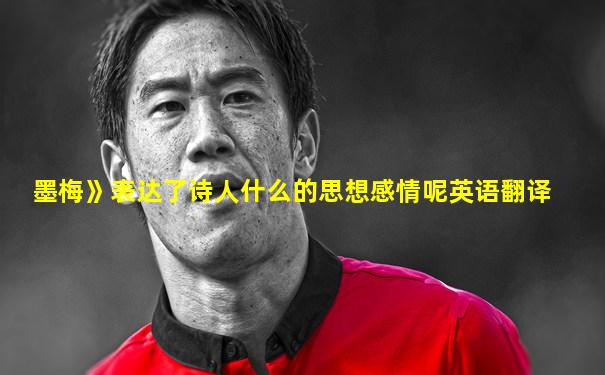 墨梅》表达了诗人什么的思想感情呢英语翻译