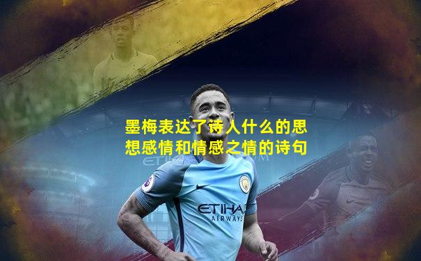 墨梅表达了诗人什么的思想感情和情感之情的诗句
