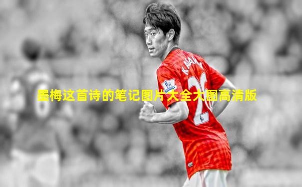 墨梅这首诗的笔记图片大全大图高清版