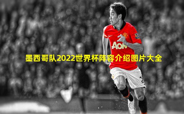 墨西哥队2022世界杯阵容介绍图片大全