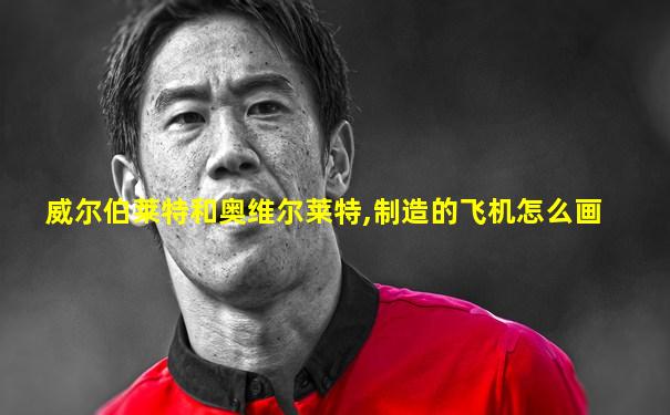 威尔伯莱特和奥维尔莱特,制造的飞机怎么画