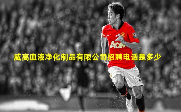 威高血液净化制品有限公司招聘电话是多少