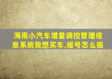 海南小汽车增量调控管理信息系统我想买车,摇号怎么摇