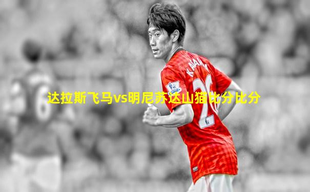 达拉斯飞马vs明尼苏达山猫比分比分