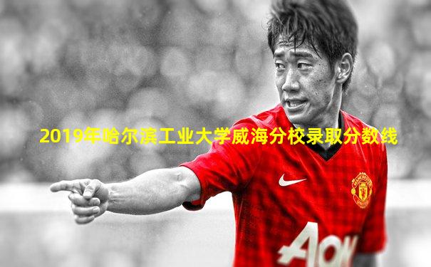 2019年哈尔滨工业大学威海分校录取分数线