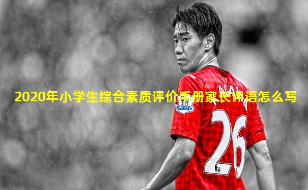 2020年小学生综合素质评价手册家长评语怎么写