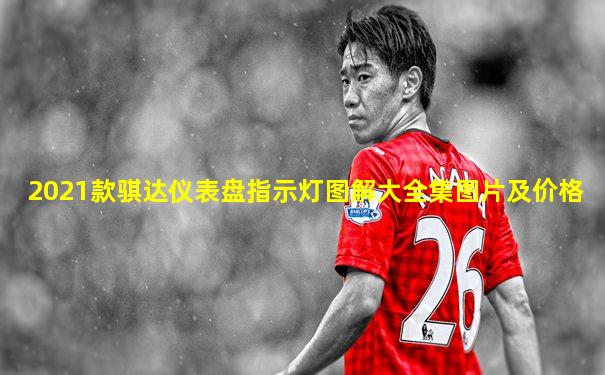 2021款骐达仪表盘指示灯图解大全集图片及价格