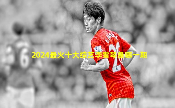 2024最火十大综艺李雪琴是哪一期