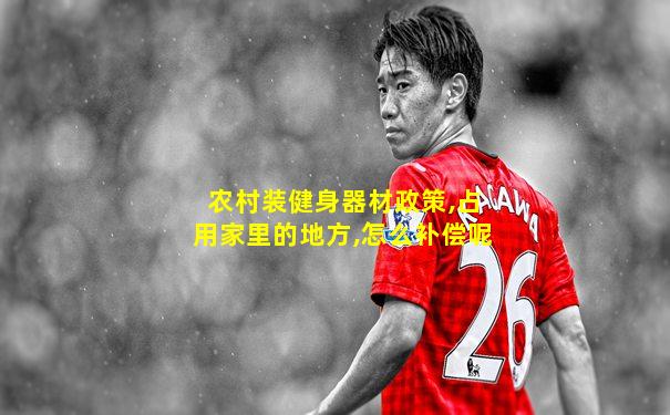农村装健身器材政策,占用家里的地方,怎么补偿呢
