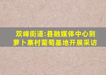 双峰街道:县融媒体中心到萝卜寨村葡萄基地开展采访