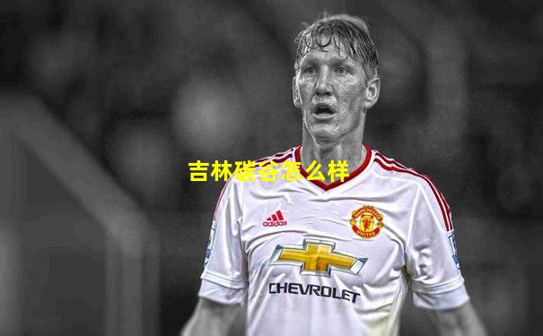 吉林碳谷怎么样