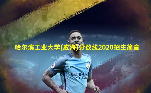 哈尔滨工业大学(威海)分数线2020招生简章