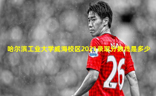哈尔滨工业大学威海校区2021录取分数线是多少