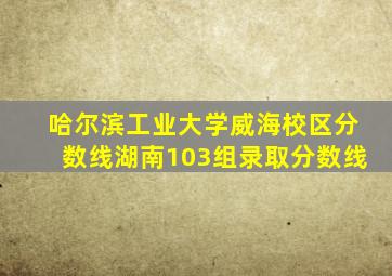 哈尔滨工业大学威海校区分数线湖南103组录取分数线