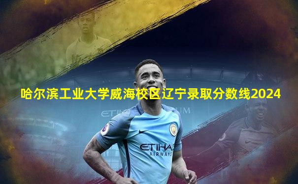 哈尔滨工业大学威海校区辽宁录取分数线2024