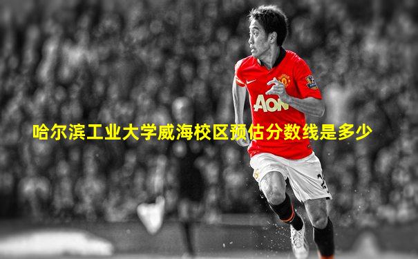 哈尔滨工业大学威海校区预估分数线是多少