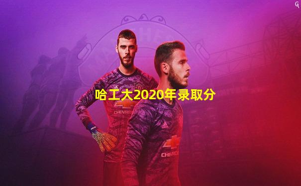 哈工大2020年录取分