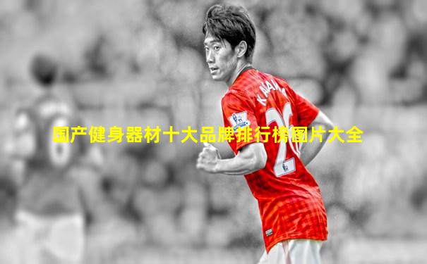 国产健身器材十大品牌排行榜图片大全