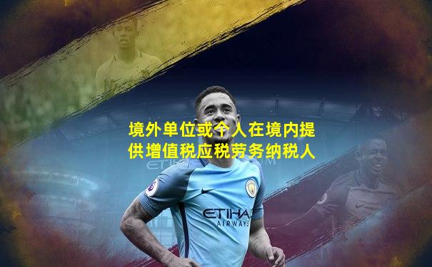 境外单位或个人在境内提供增值税应税劳务纳税人