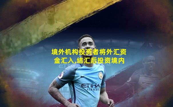 境外机构投资者将外汇资金汇入,结汇后投资境内