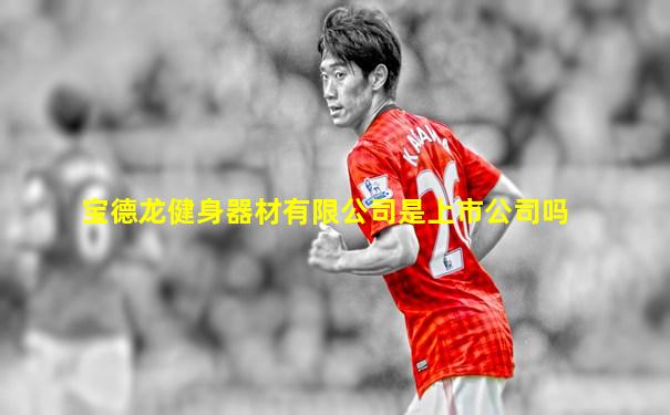 宝德龙健身器材有限公司是上市公司吗