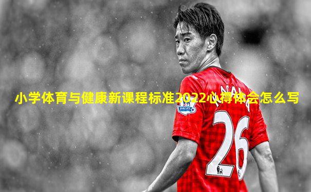 小学体育与健康新课程标准2022心得体会怎么写