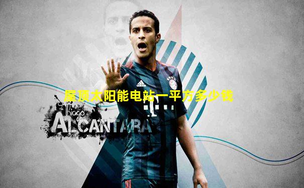 屋顶太阳能电站一平方多少钱