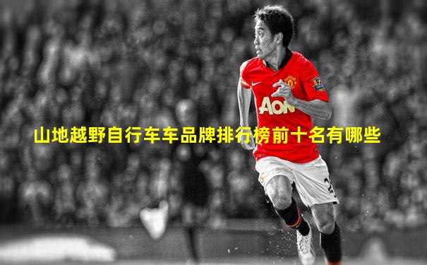山地越野自行车车品牌排行榜前十名有哪些