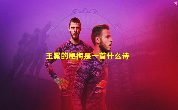 王冕的墨梅是一首什么诗