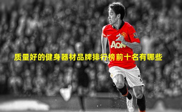 质量好的健身器材品牌排行榜前十名有哪些