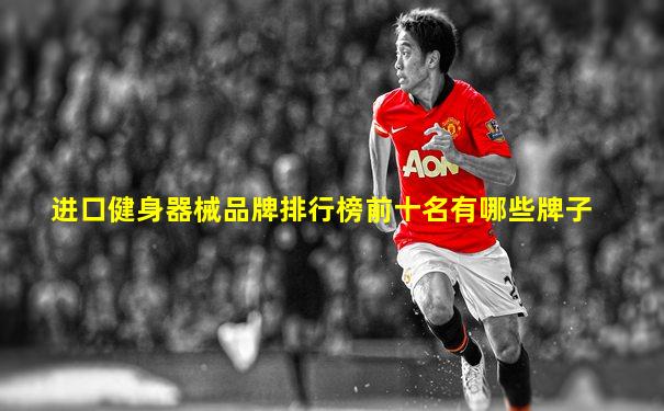 进口健身器械品牌排行榜前十名有哪些牌子