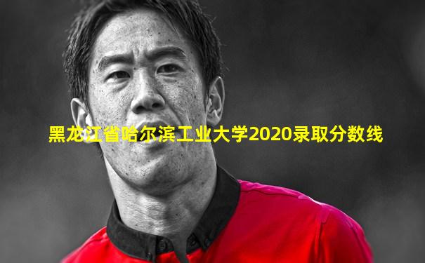 黑龙江省哈尔滨工业大学2020录取分数线